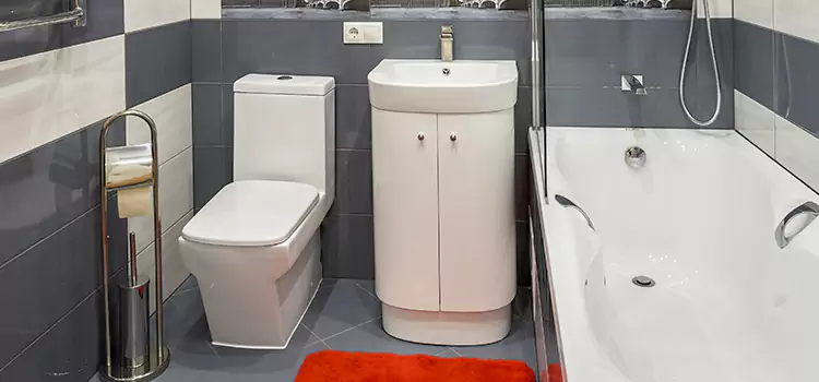 Hansgrohe Shaving Mirror Murfreesboro