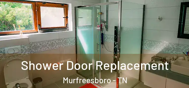  Shower Door Replacement Murfreesboro - TN